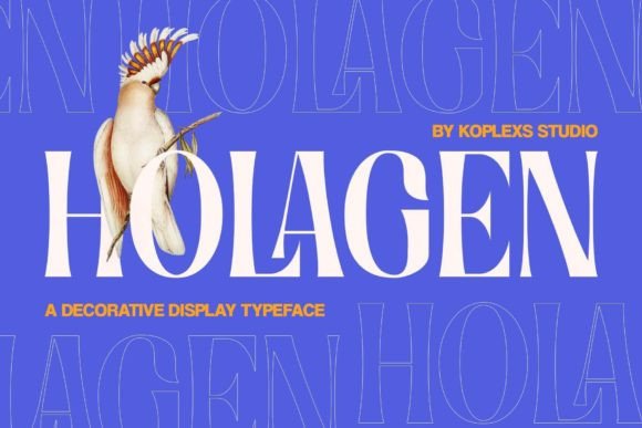 Holagen: A Serif Font for Elegant Campaigns