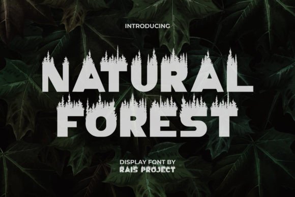 Natural Forest Typeface for Modern Branding