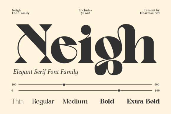 Neigh: A Modern Vintage Serif Typeface for Branding