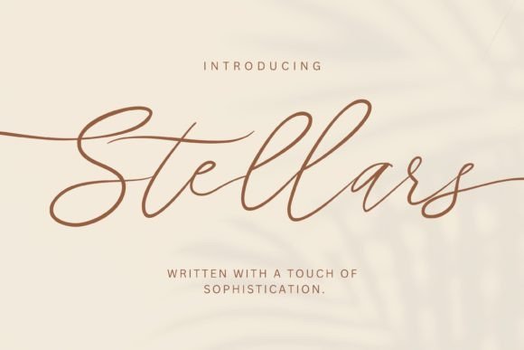 Stellars: A Premium Script Font for Modern Web Design
